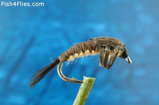 Fish4Flies Polish Cream Belly Nymph